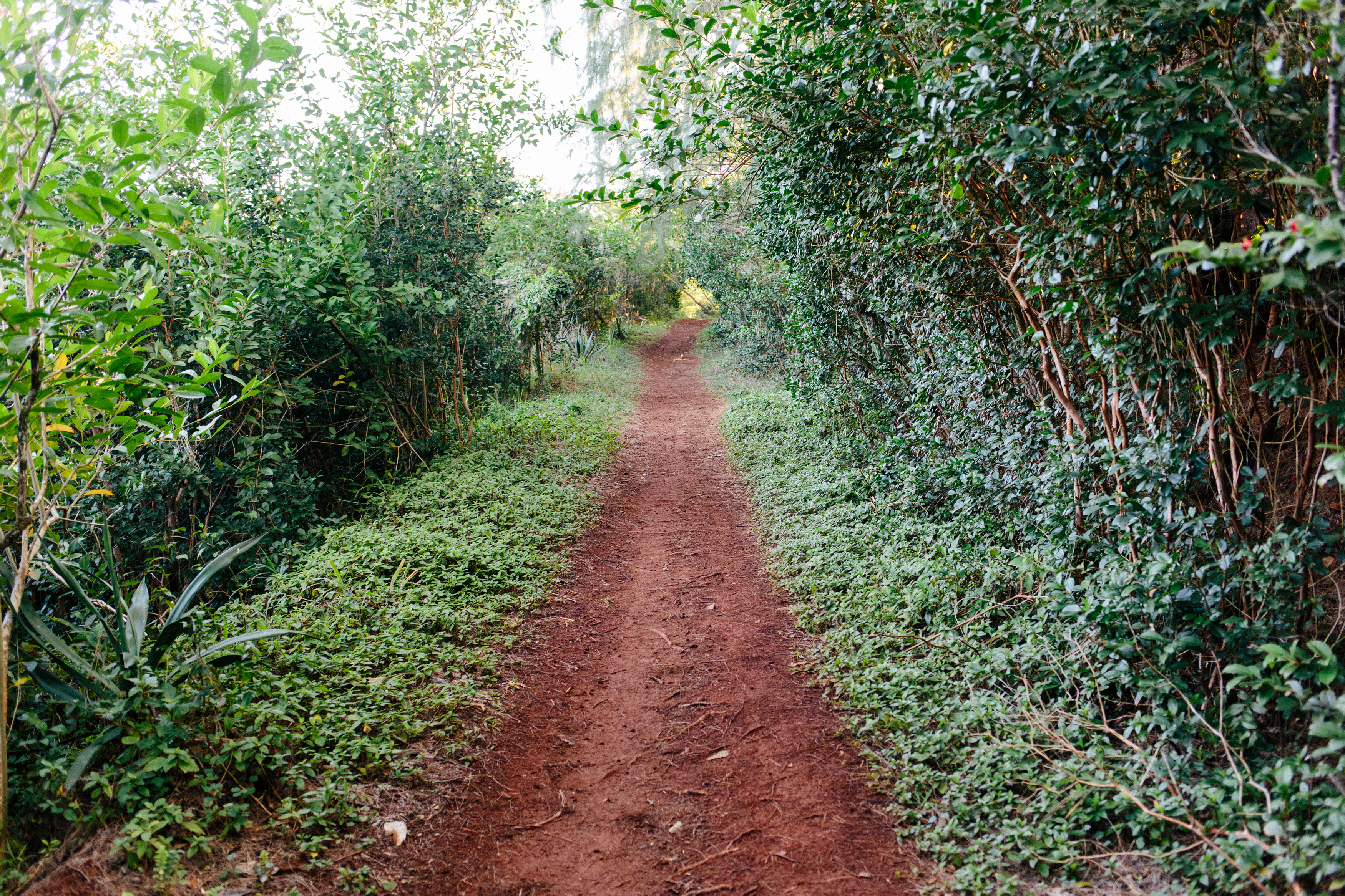 Pu'u Ma'eli'eli Digging Hill