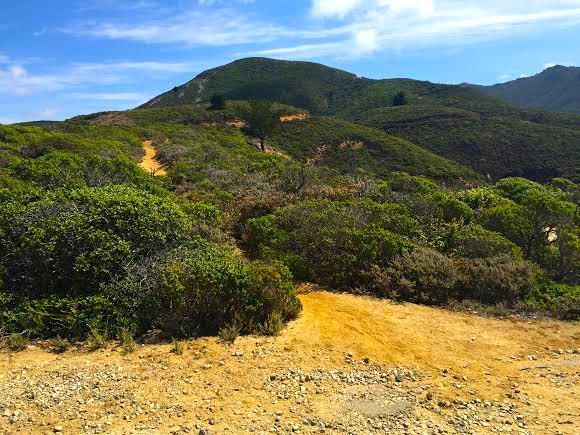 Montara Mountain North & Middle Peaks Loop