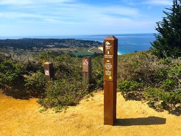 Montara Mountain North & Middle Peaks Loop