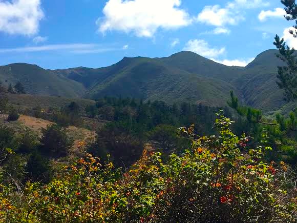 Montara Mountain North & Middle Peaks Loop