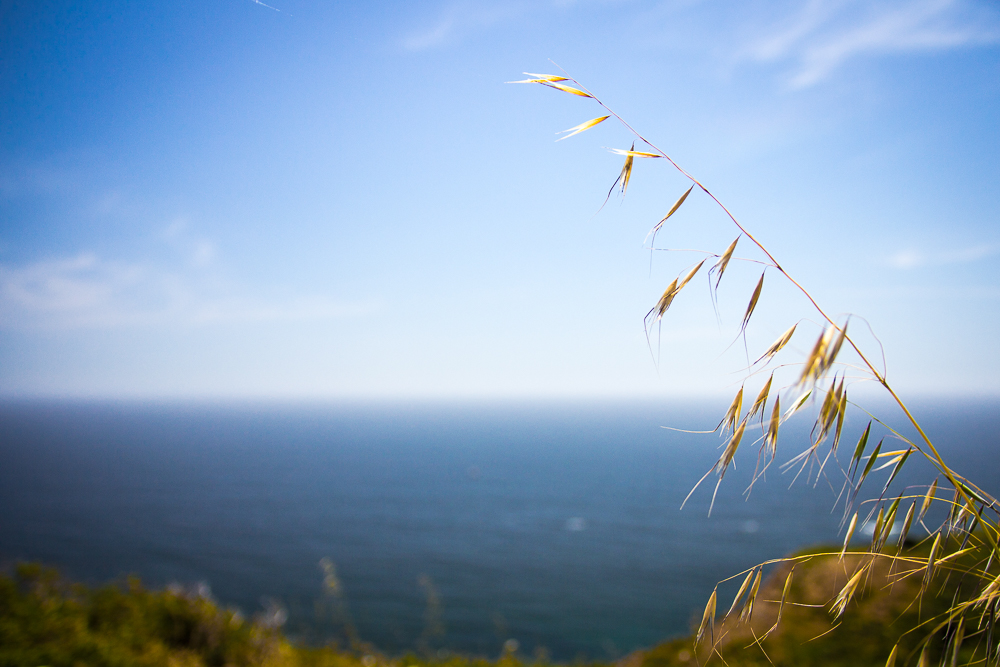 Bass Lake via Palomarin Trailhead