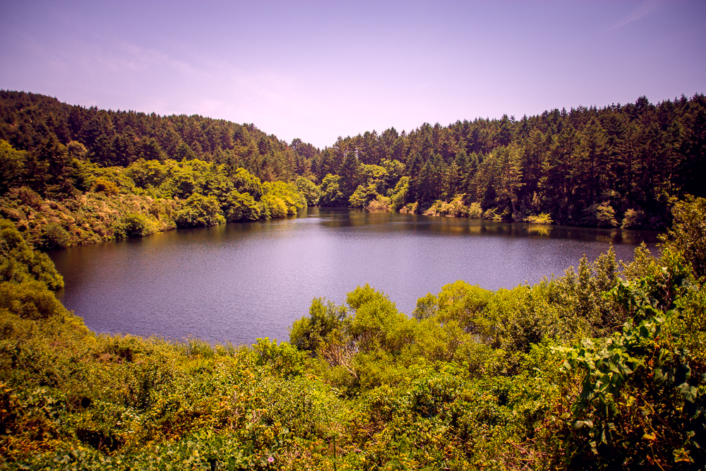 Bass Lake via Palomarin Trailhead