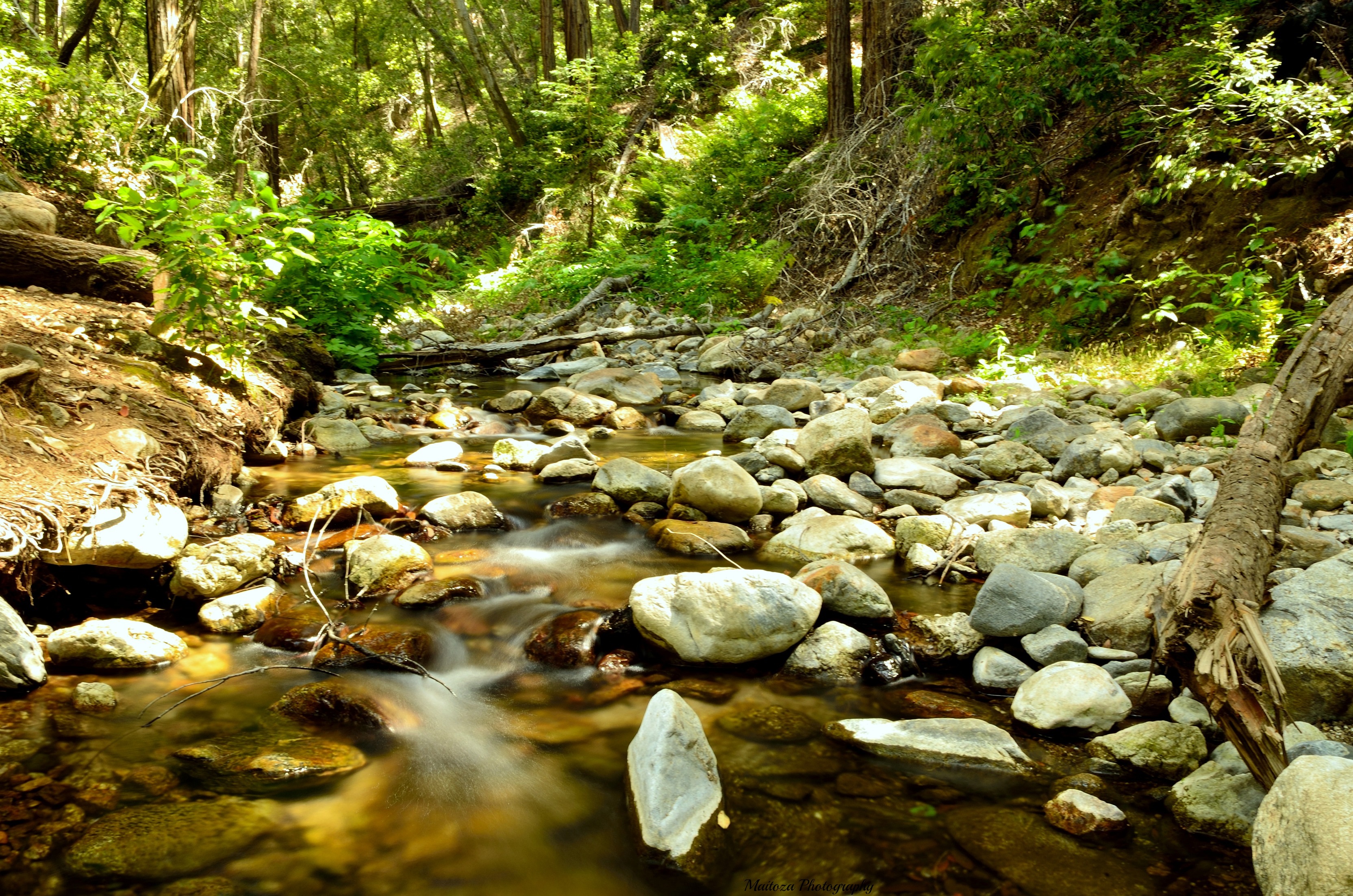Sykes Hot Springs via Pine Ridge Trail