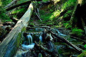 Sykes Hot Springs via Pine Ridge Trail