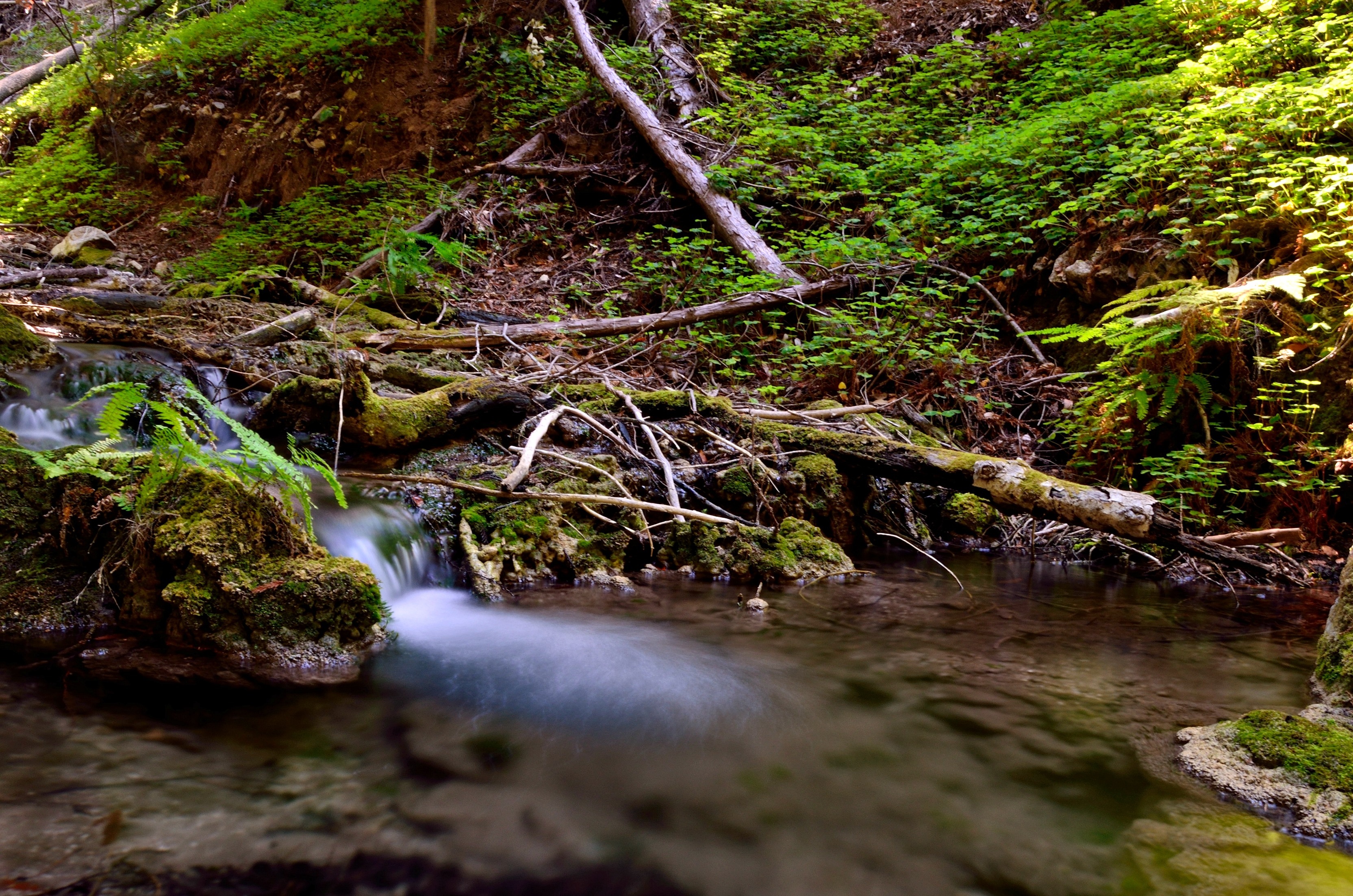 Sykes Hot Springs via Pine Ridge Trail