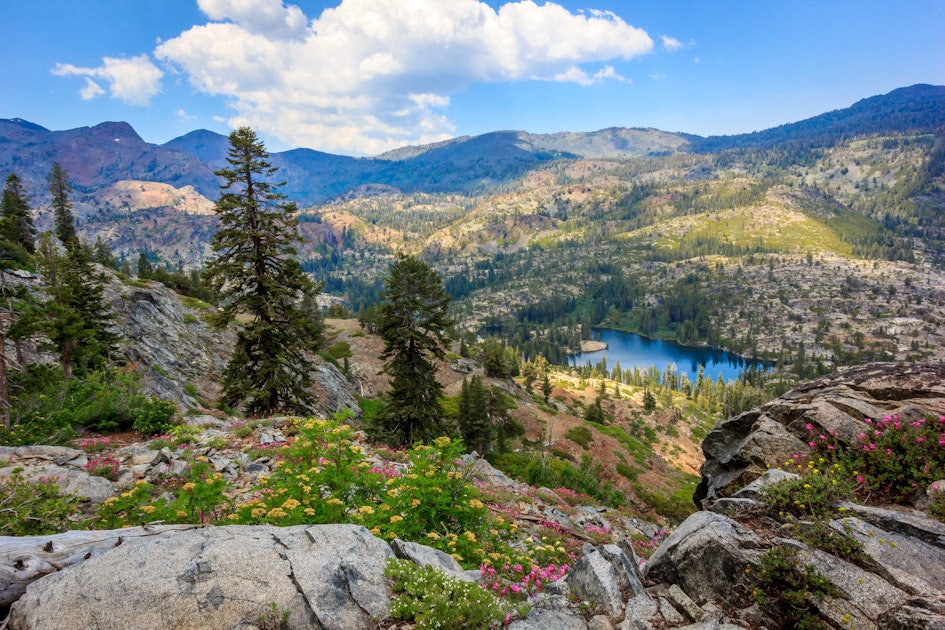 Hike Glen Alpine Falls and Grass Lake, Lake Tahoe