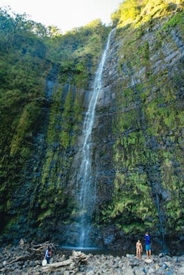 Waimoku Falls via the Pipiwai Trail