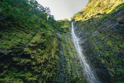 Waimoku Falls via the Pipiwai Trail
