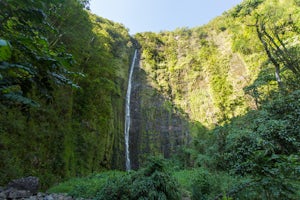 Hike the Pipiwai Trail to Waimoku