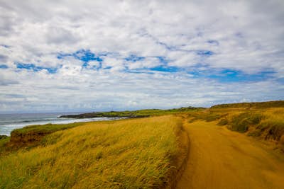 Hike to Papakōlea Green Sand Beach