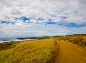 Hike to Papakōlea Green Sand Beach