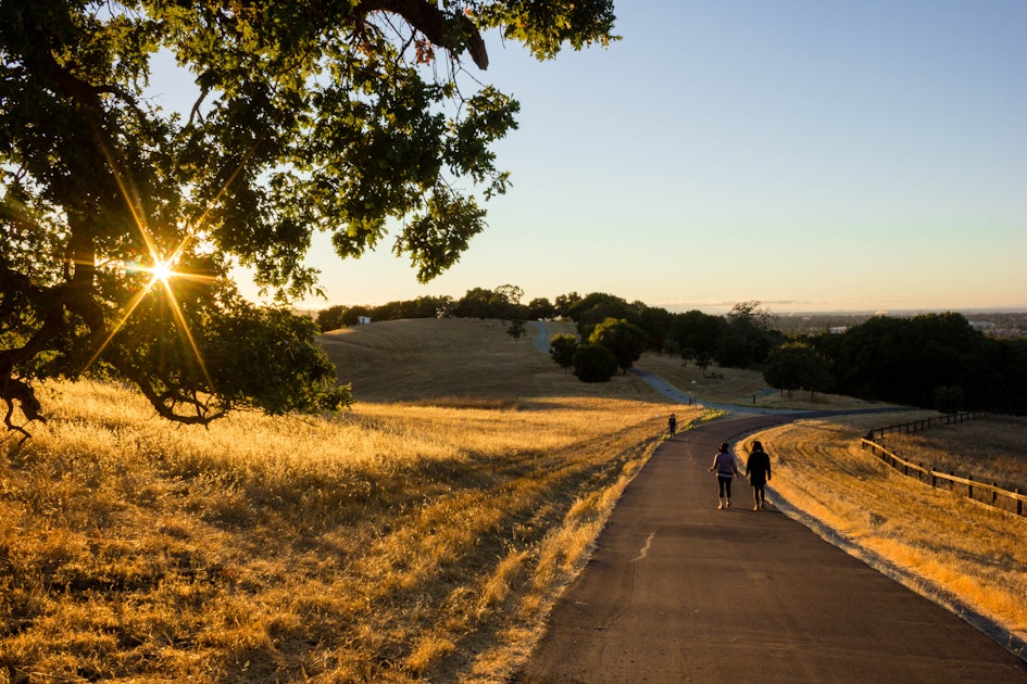 Run the Stanford Dish, The Dish