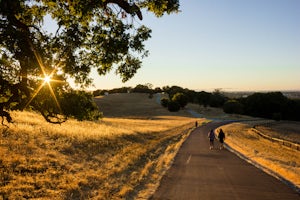 Stanford Dish Loop