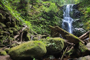 Hike the Berry Creek Falls Loop