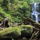 Hike the Berry Creek Falls Loop