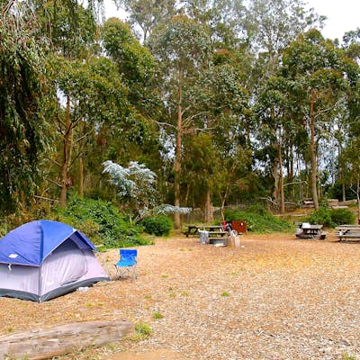 Camp at the Rob Hill Campground