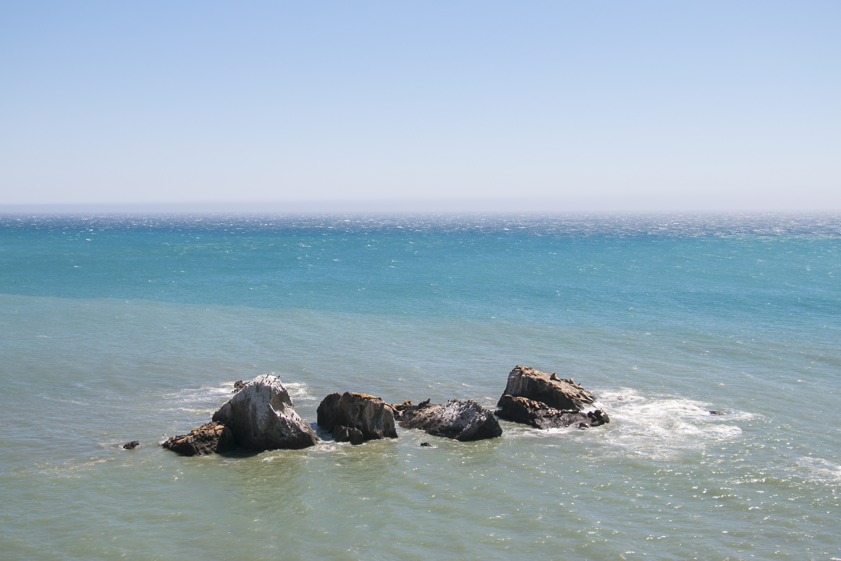 The Lost Coast: Mattole to Black Sands Beach