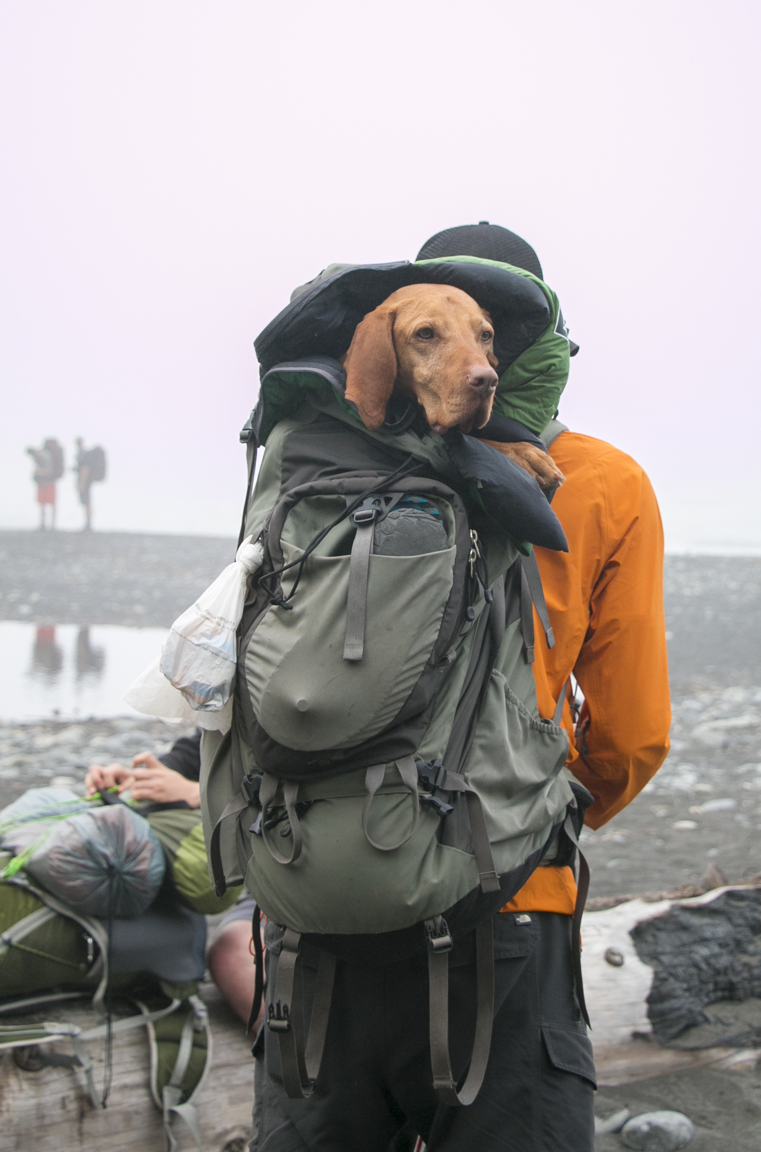 The Lost Coast: Mattole to Black Sands Beach