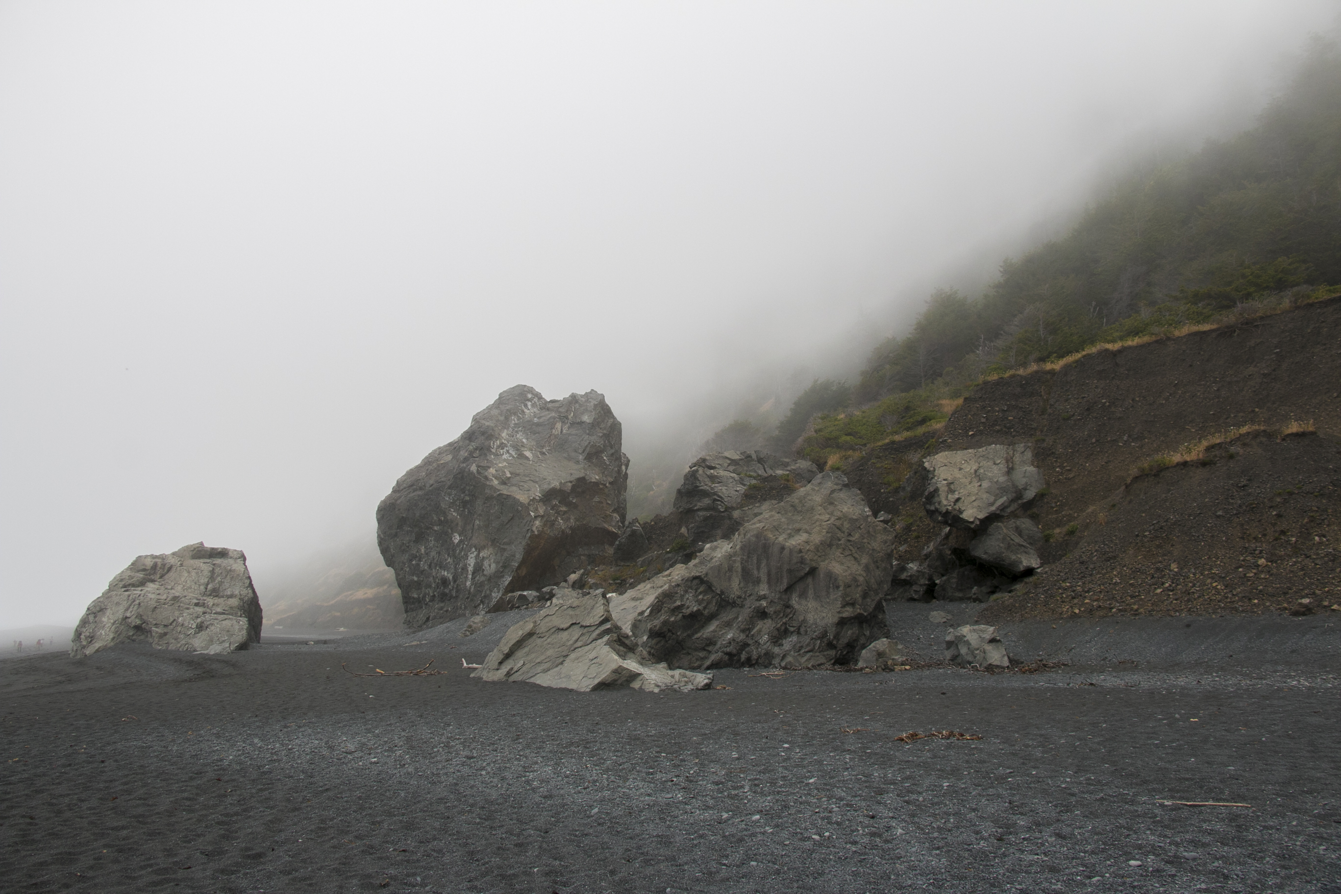 The Lost Coast: Mattole to Black Sands Beach