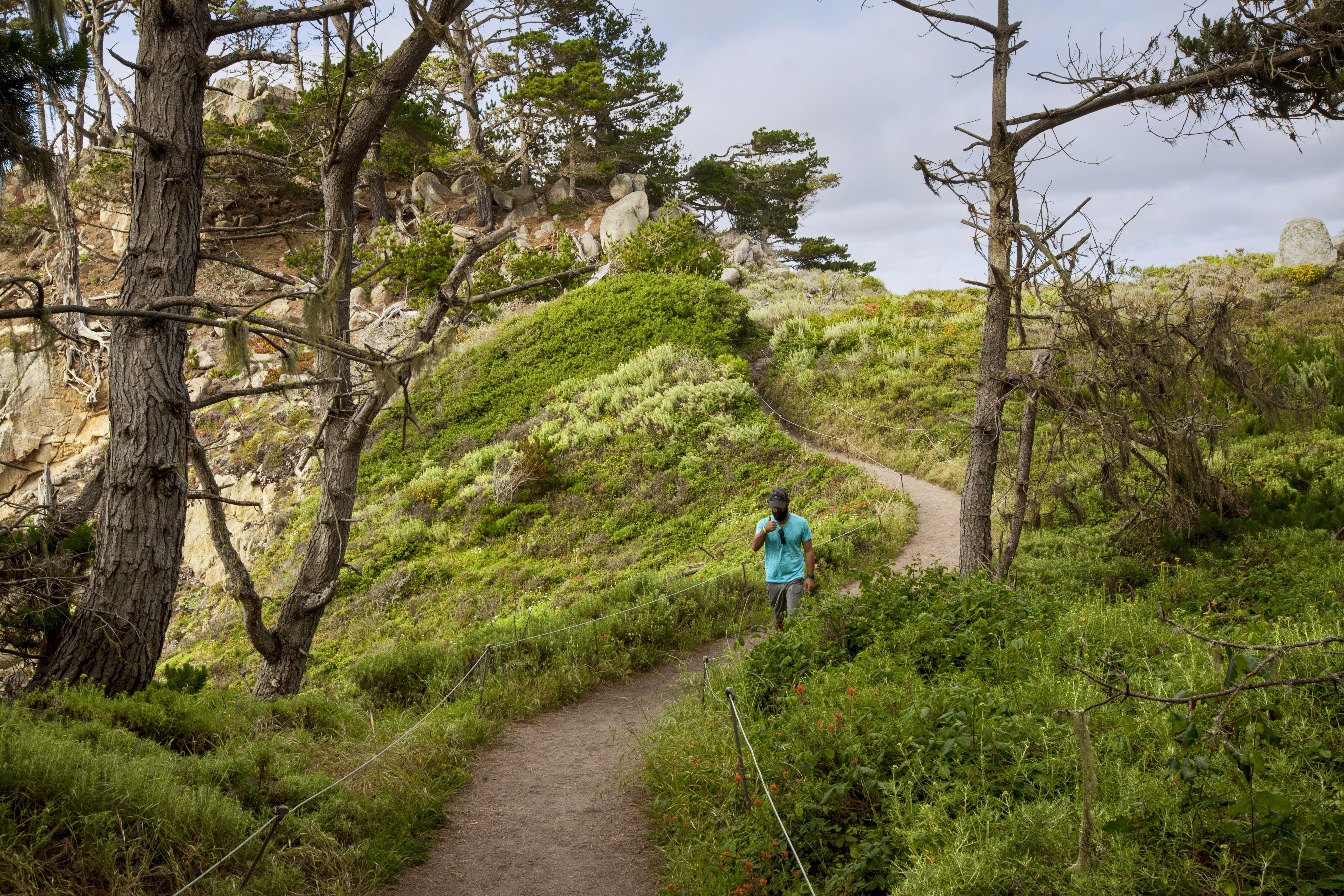 Point Lobos Natural Preserve Loop