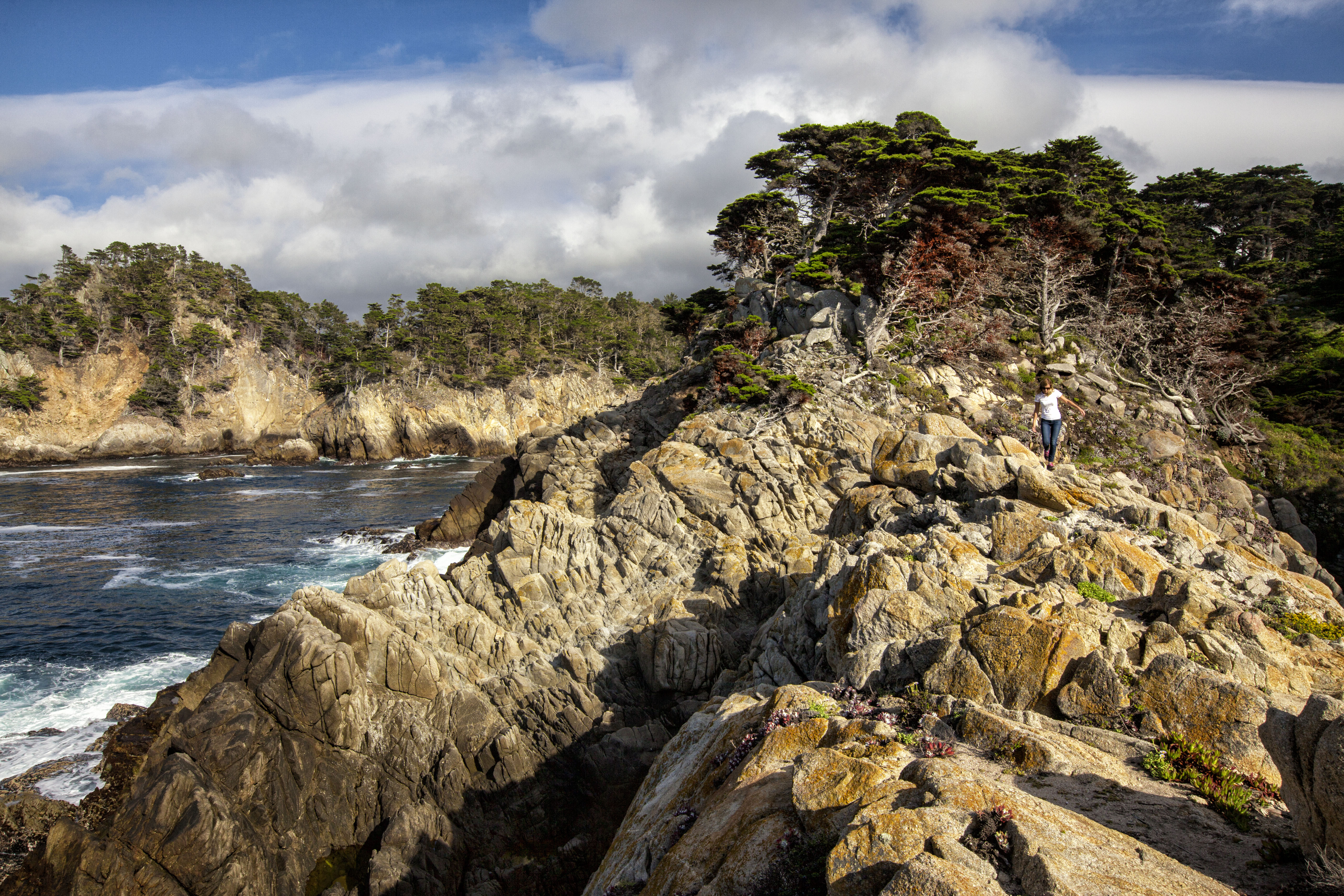 Point Lobos Natural Preserve Loop
