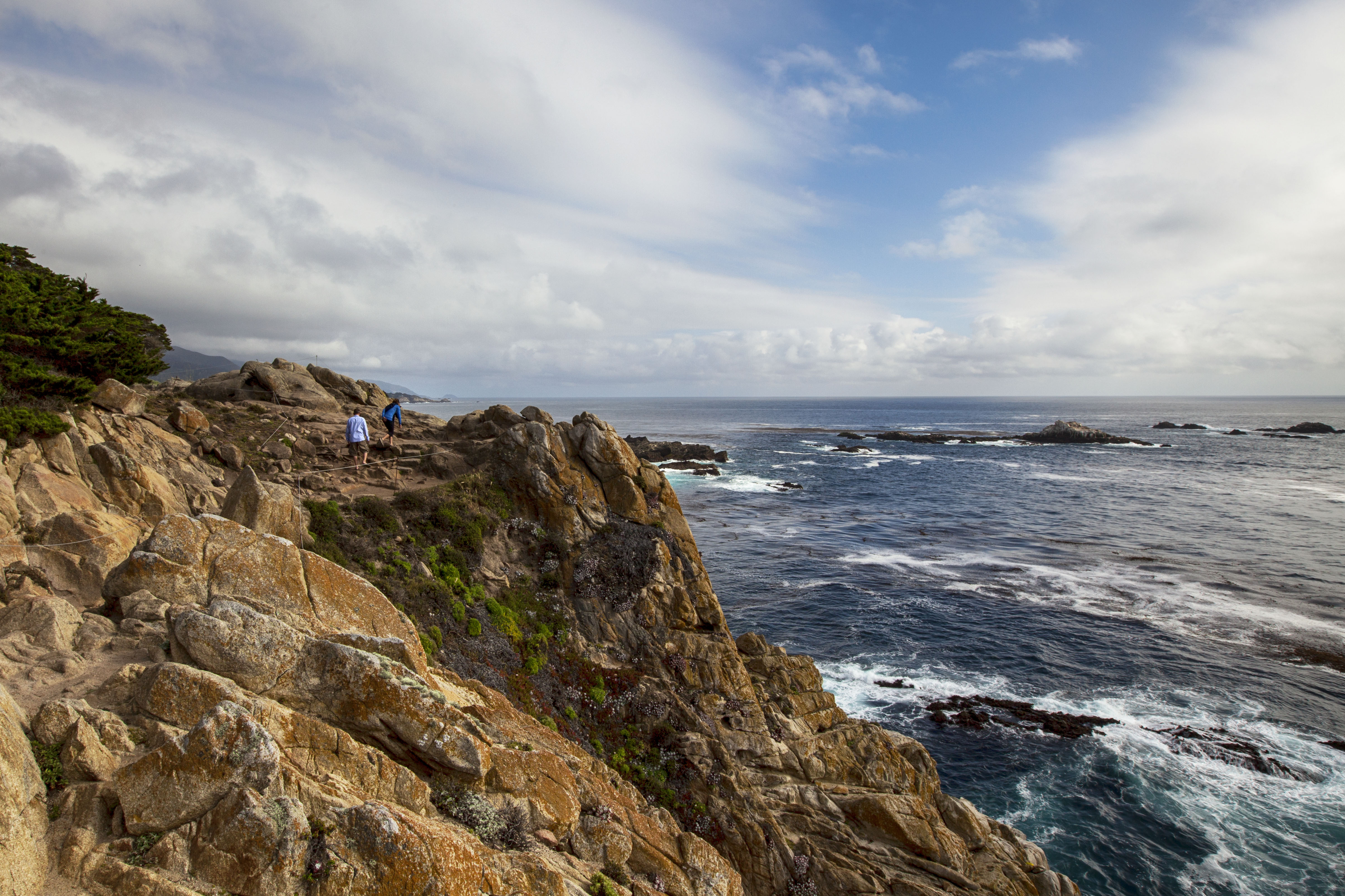 Point Lobos Natural Preserve Loop