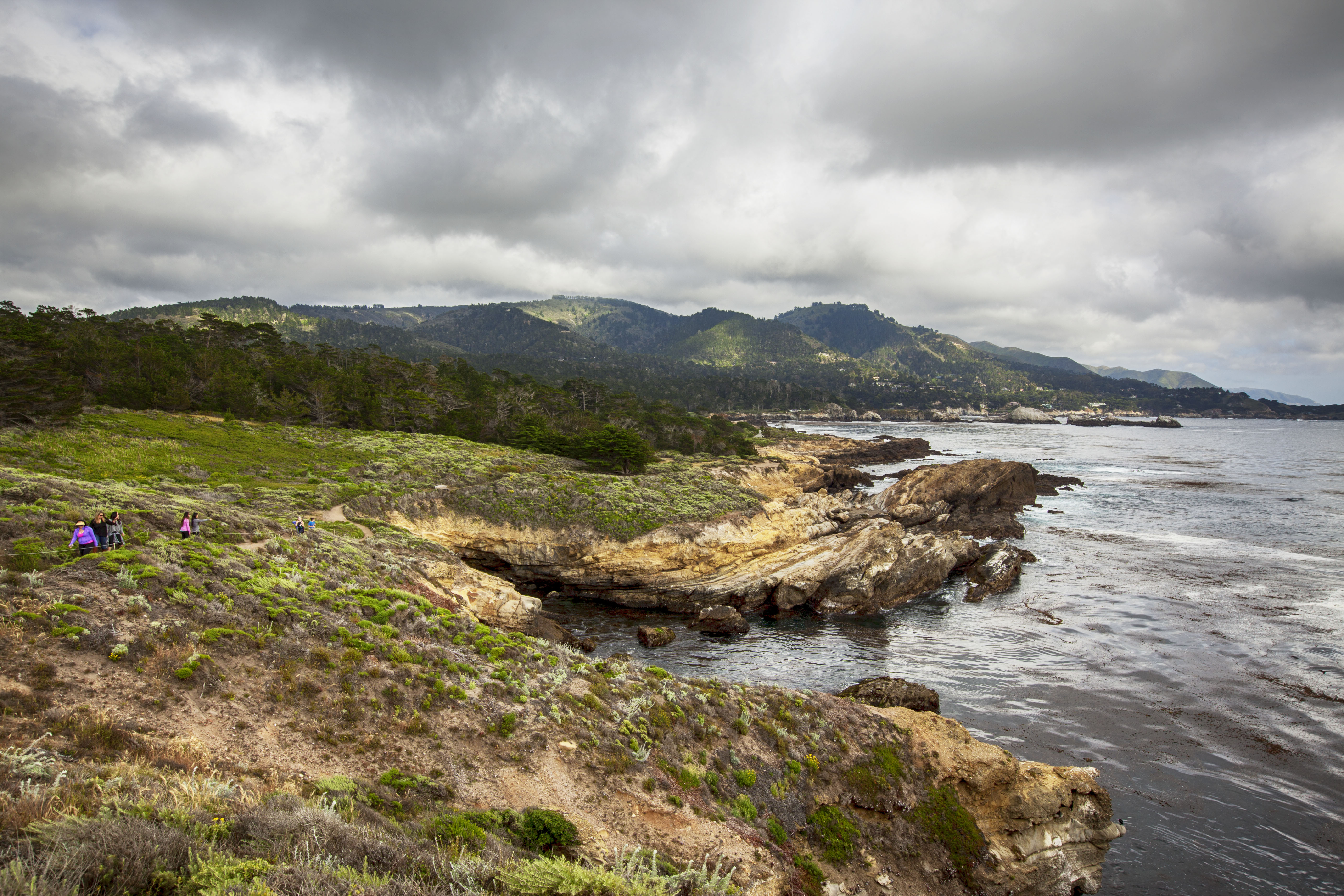 Point Lobos Natural Preserve Loop