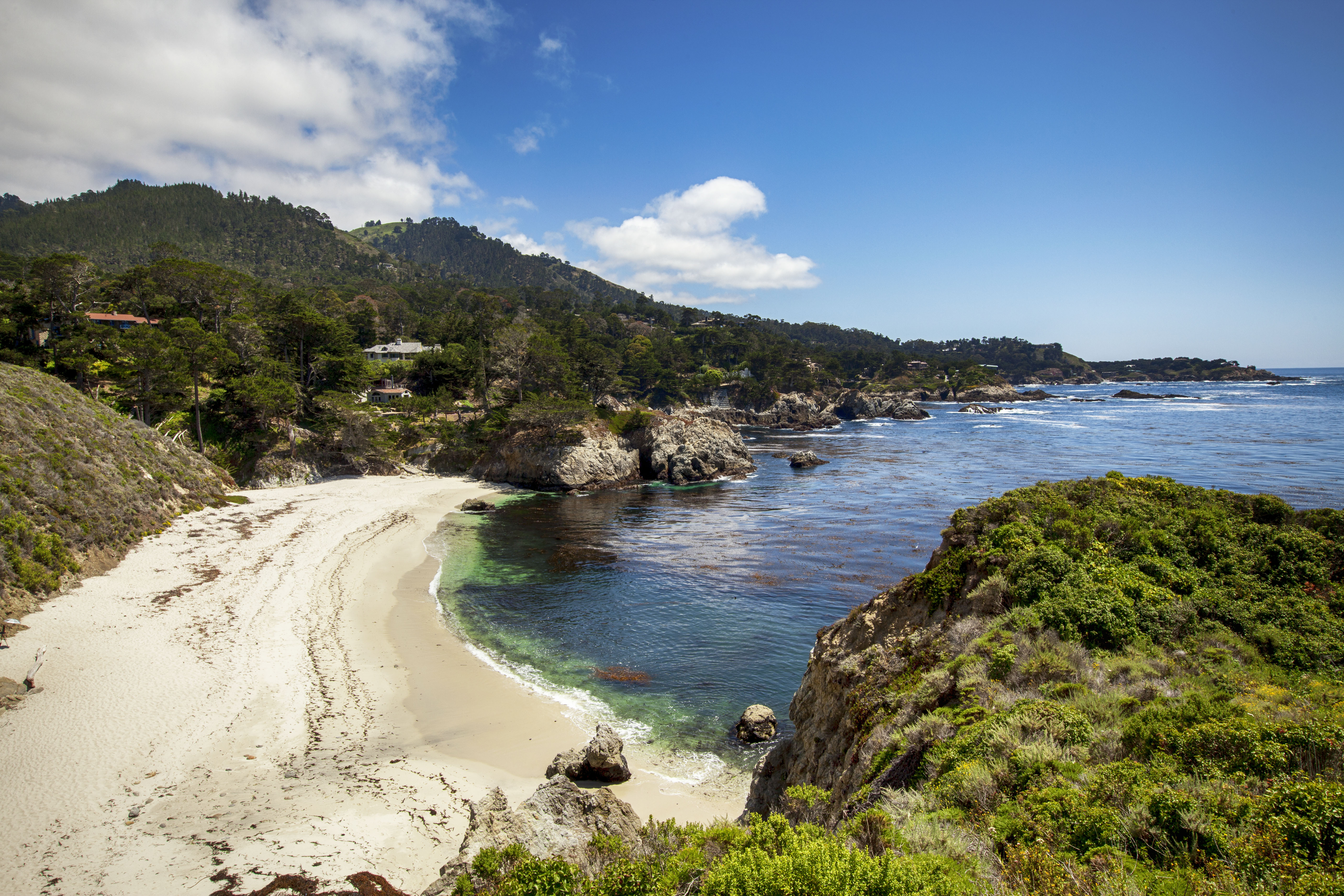 Point Lobos Natural Preserve Loop