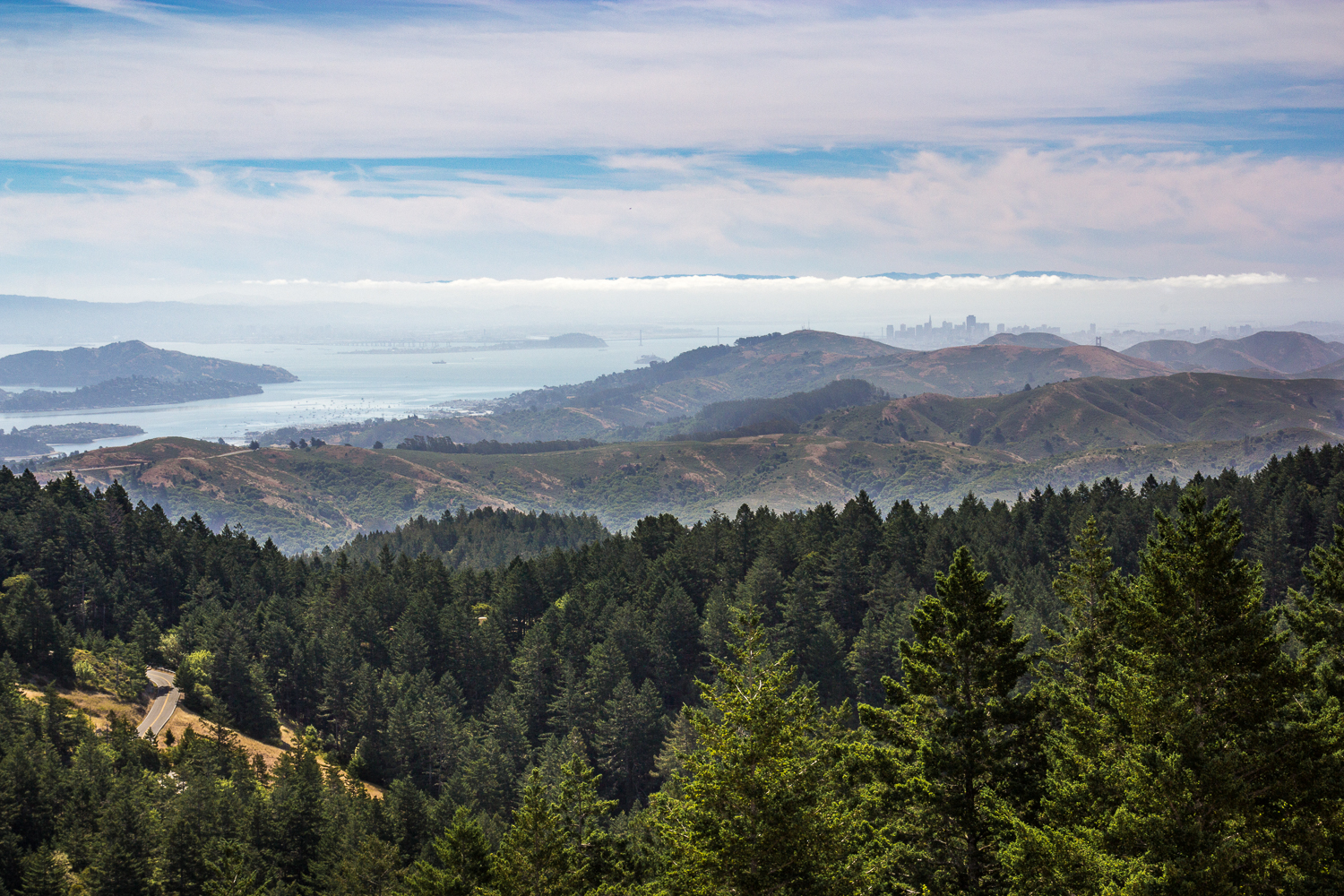 Camp at Mt. Tam's Pantoll Campground