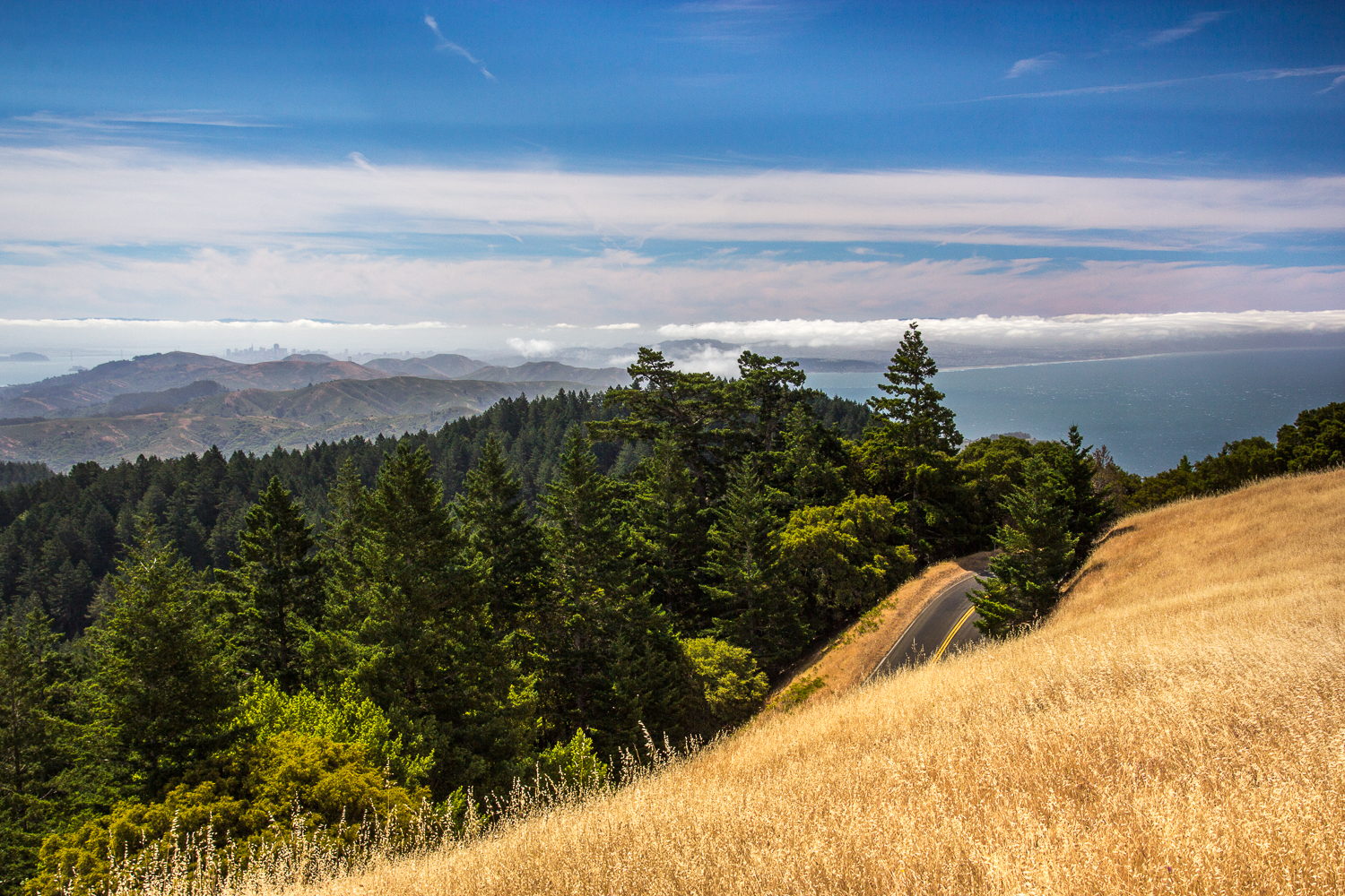 Camp at Mt. Tam's Pantoll Campground