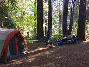 Redwoods Camping at Samuel P Taylor