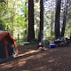 Redwoods Camping at Samuel P Taylor