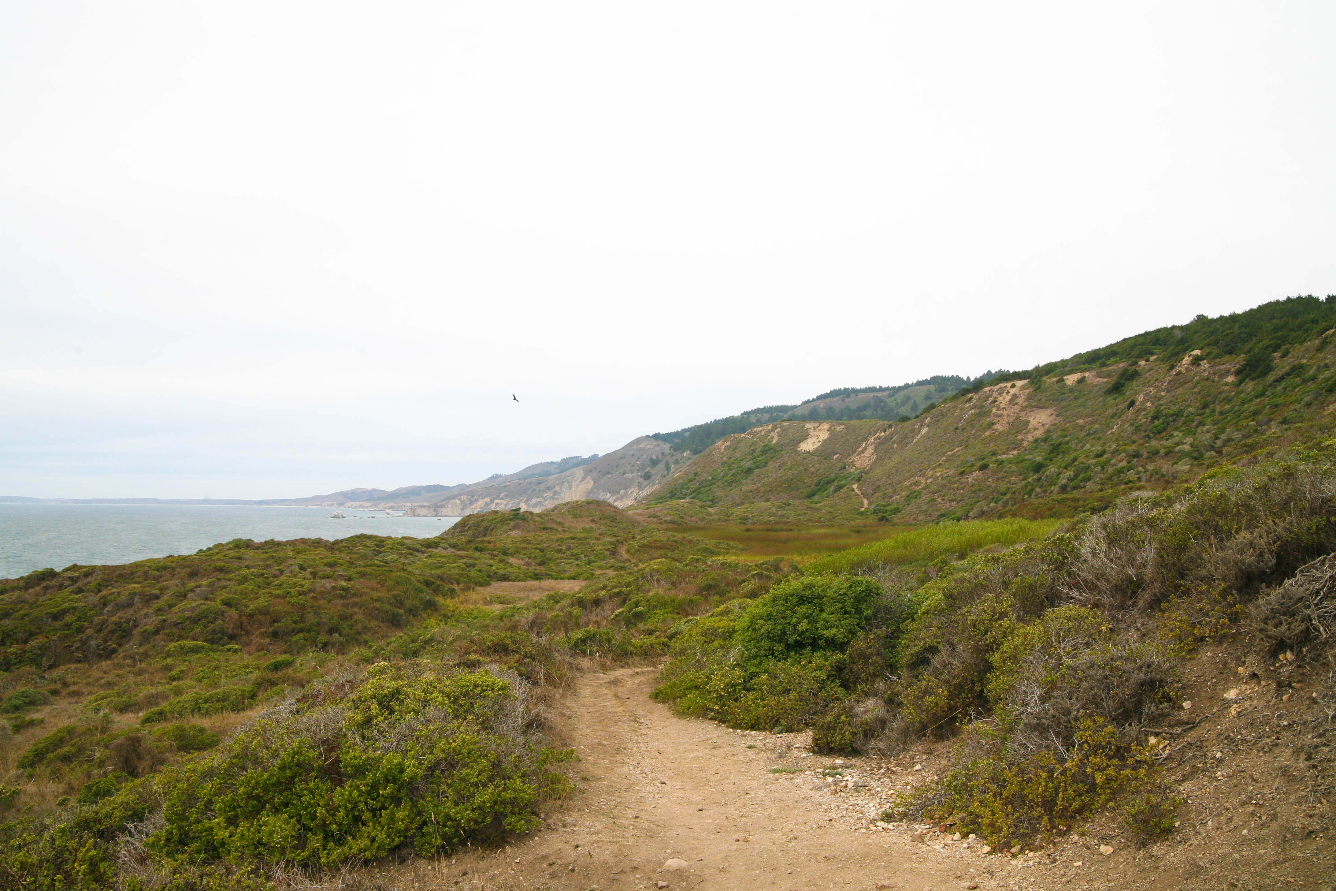 Point Reyes' Wildcat Camp via Coast Trail