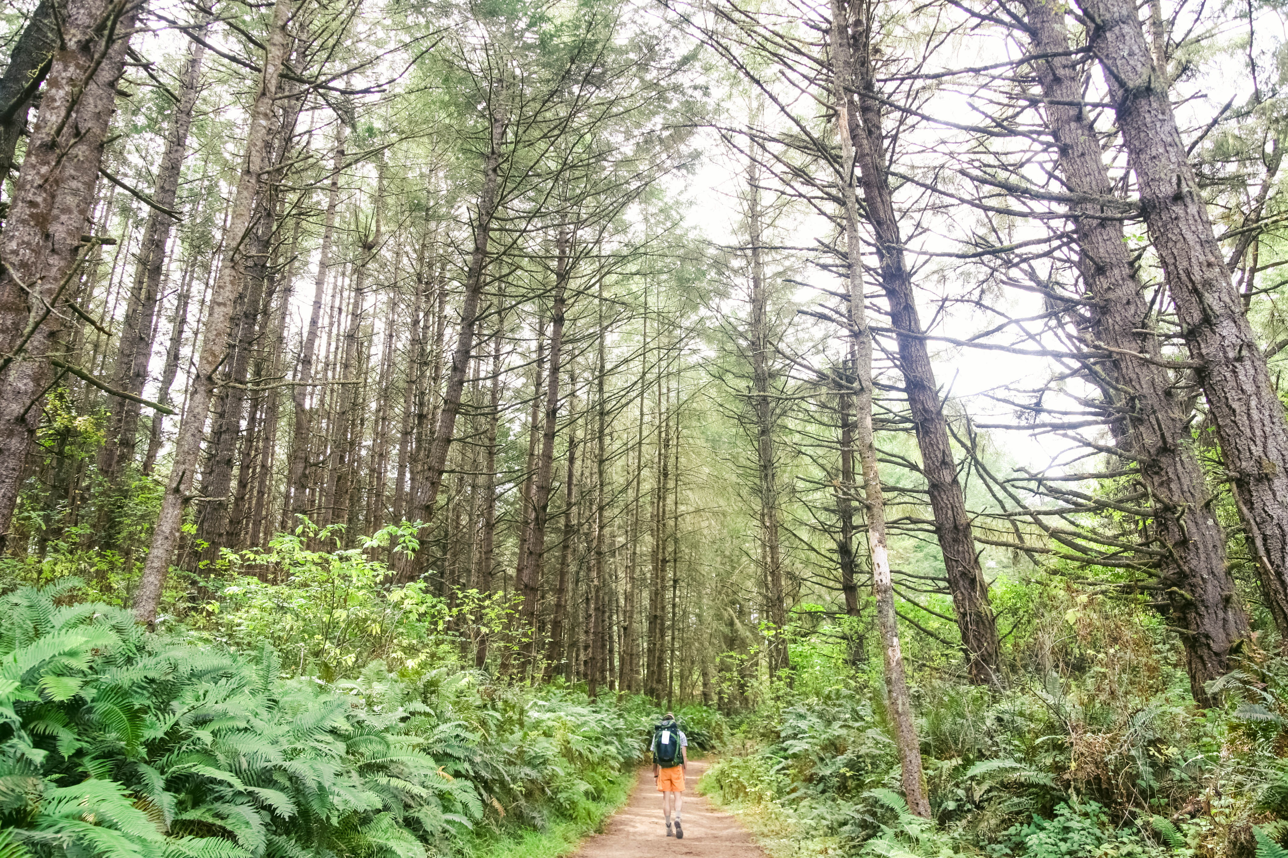 Point Reyes' Wildcat Camp via Coast Trail