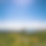 a group of tents is set up in a meadow, in the distance the ocean stretches into the horizon