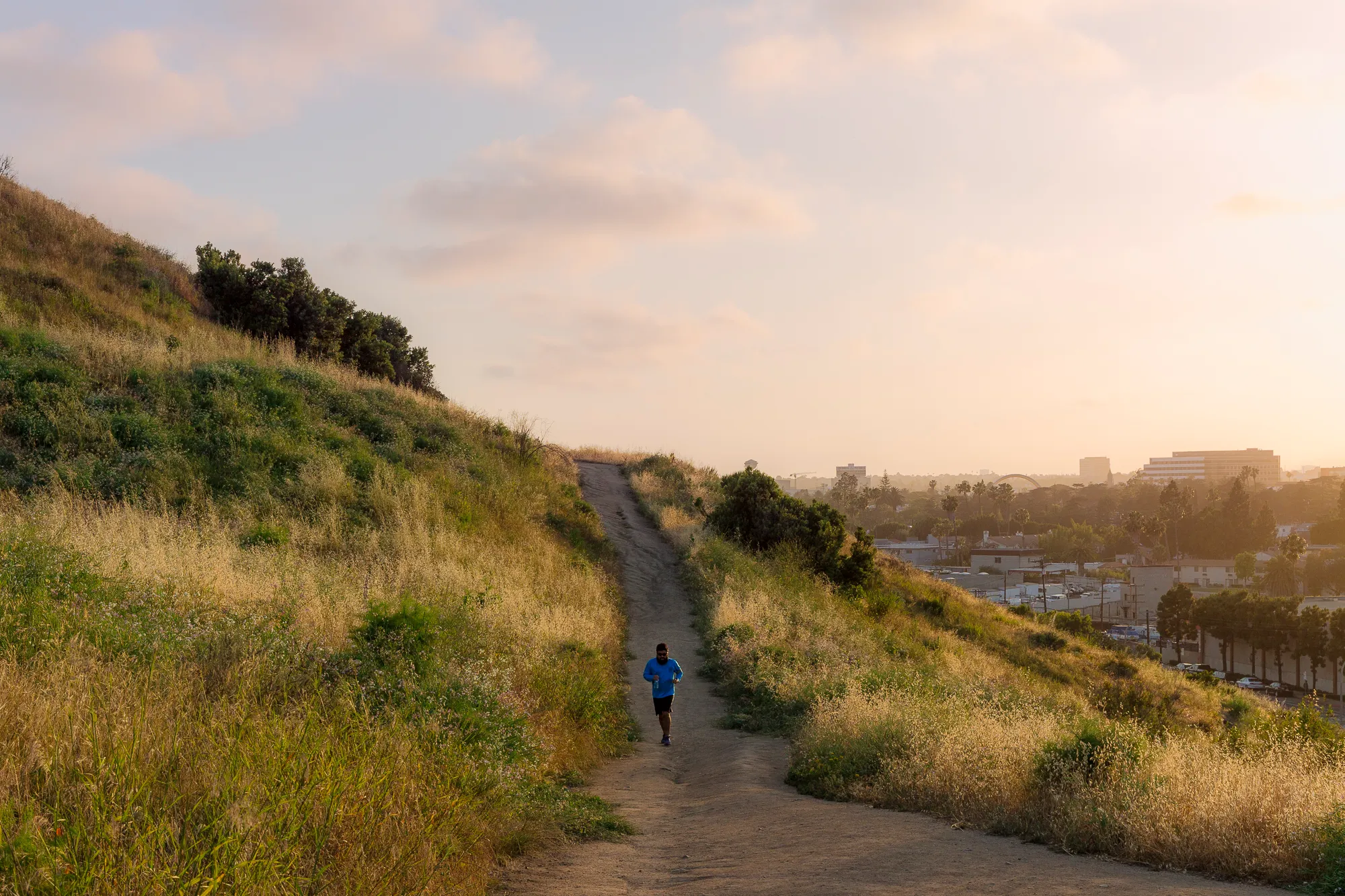 Culver City Stairs