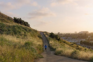 Run the Culver City Stairs