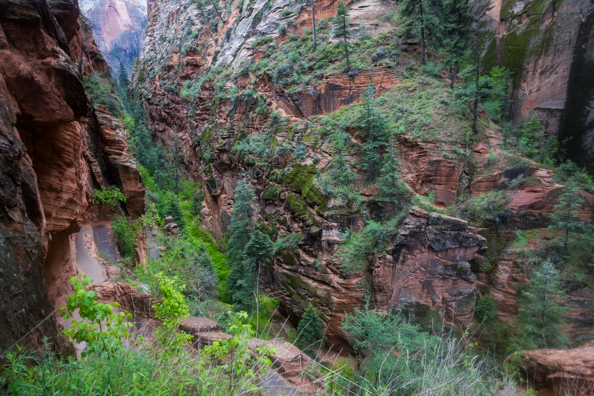Angels Landing