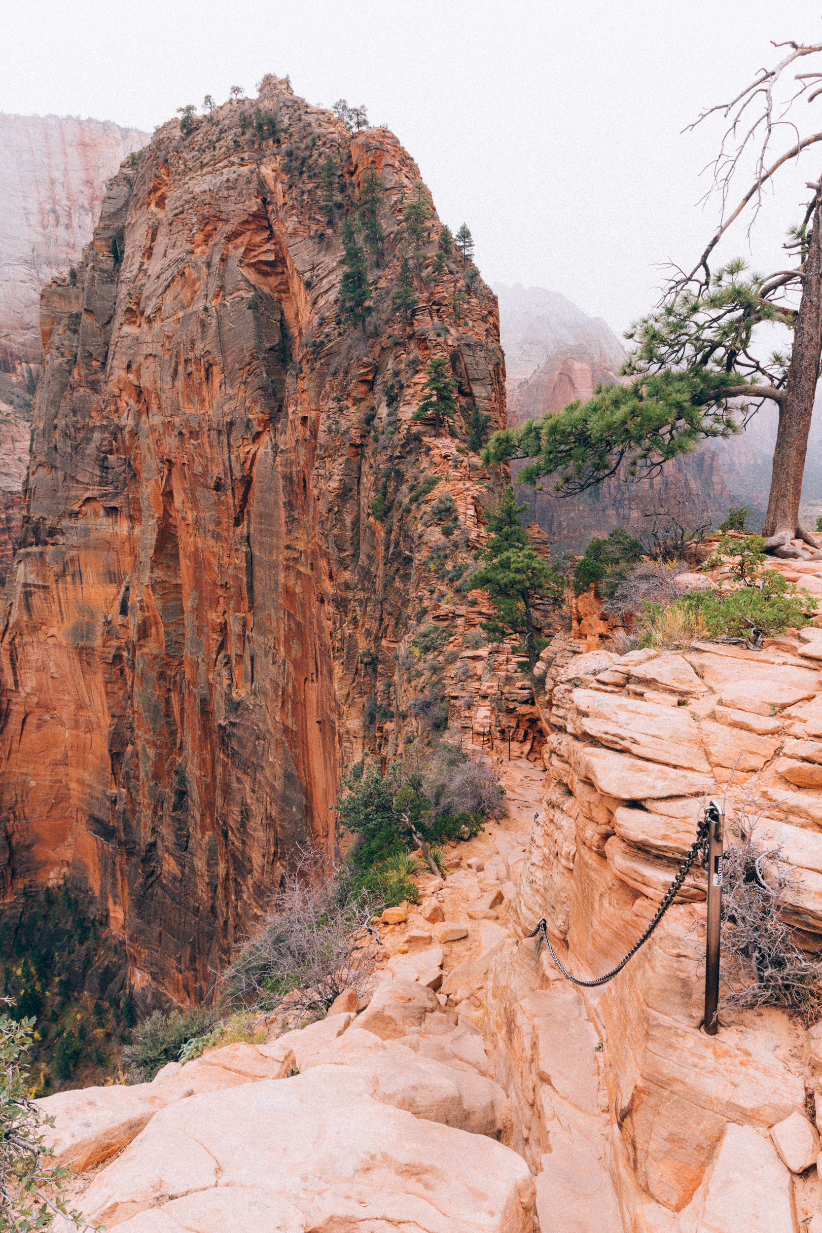 Angels Landing