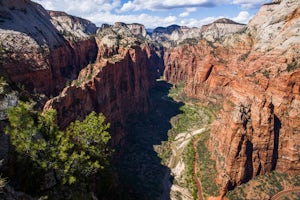 Angels Landing