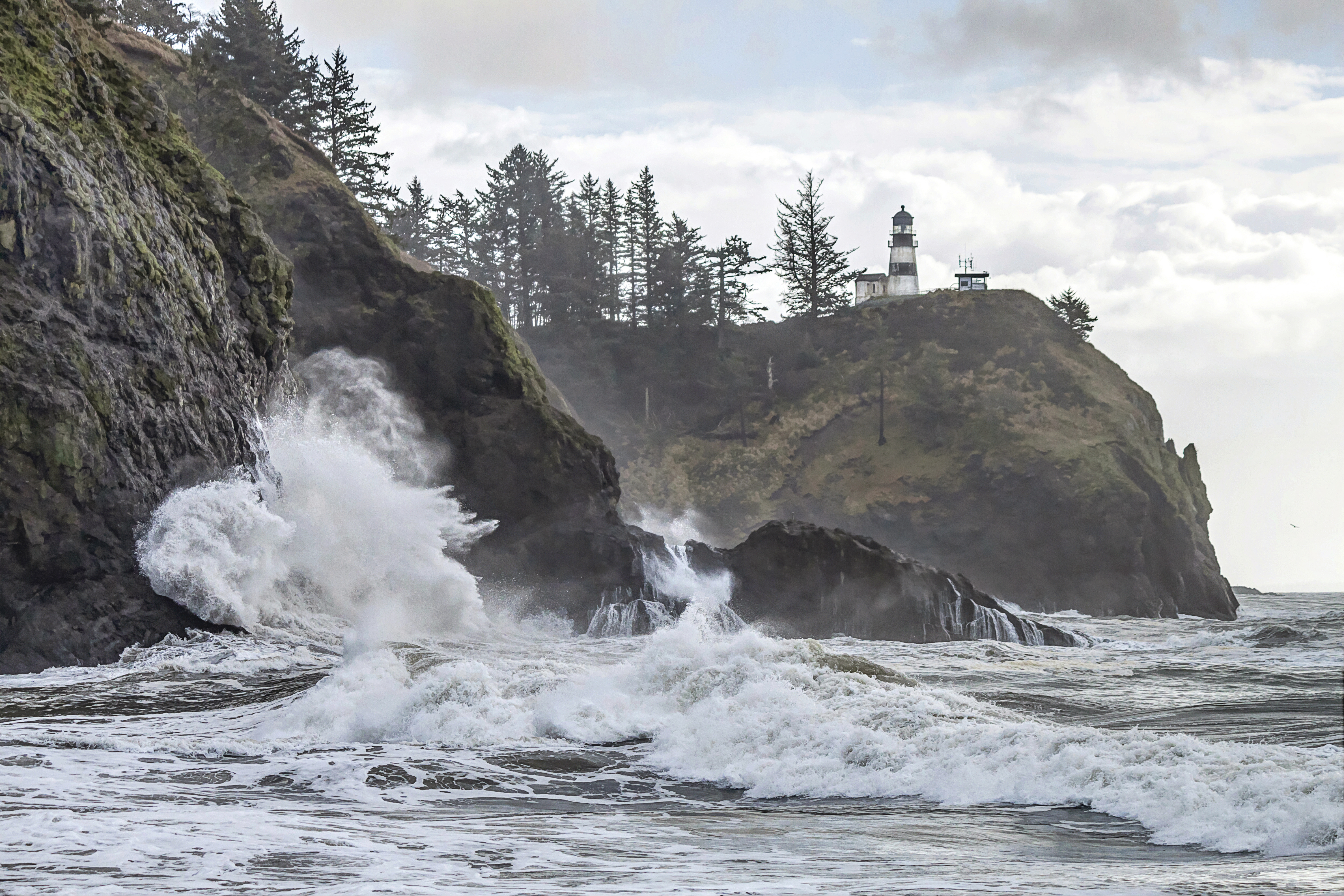 Camp at Cape Disappointment
