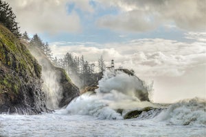 Camp at Cape Disappointment