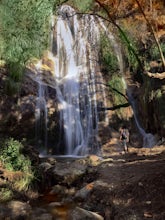 Escondido Falls Trail