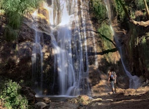 Escondido Falls Trail