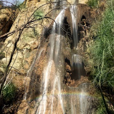 Escondido Falls Trail