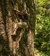 Bouldering on the Siren