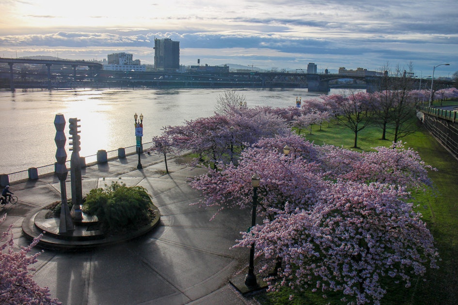 Run Along Waterfront Park, Portland, Oregon