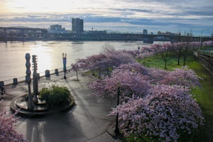 Run Along Waterfront Park