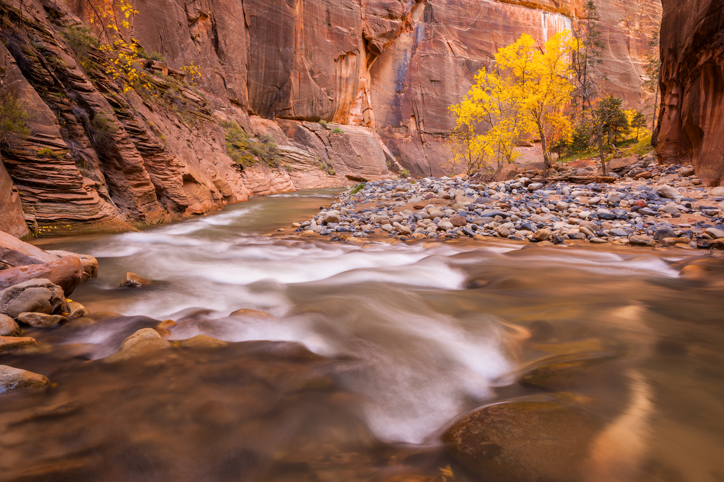 The Narrows, Zion NP