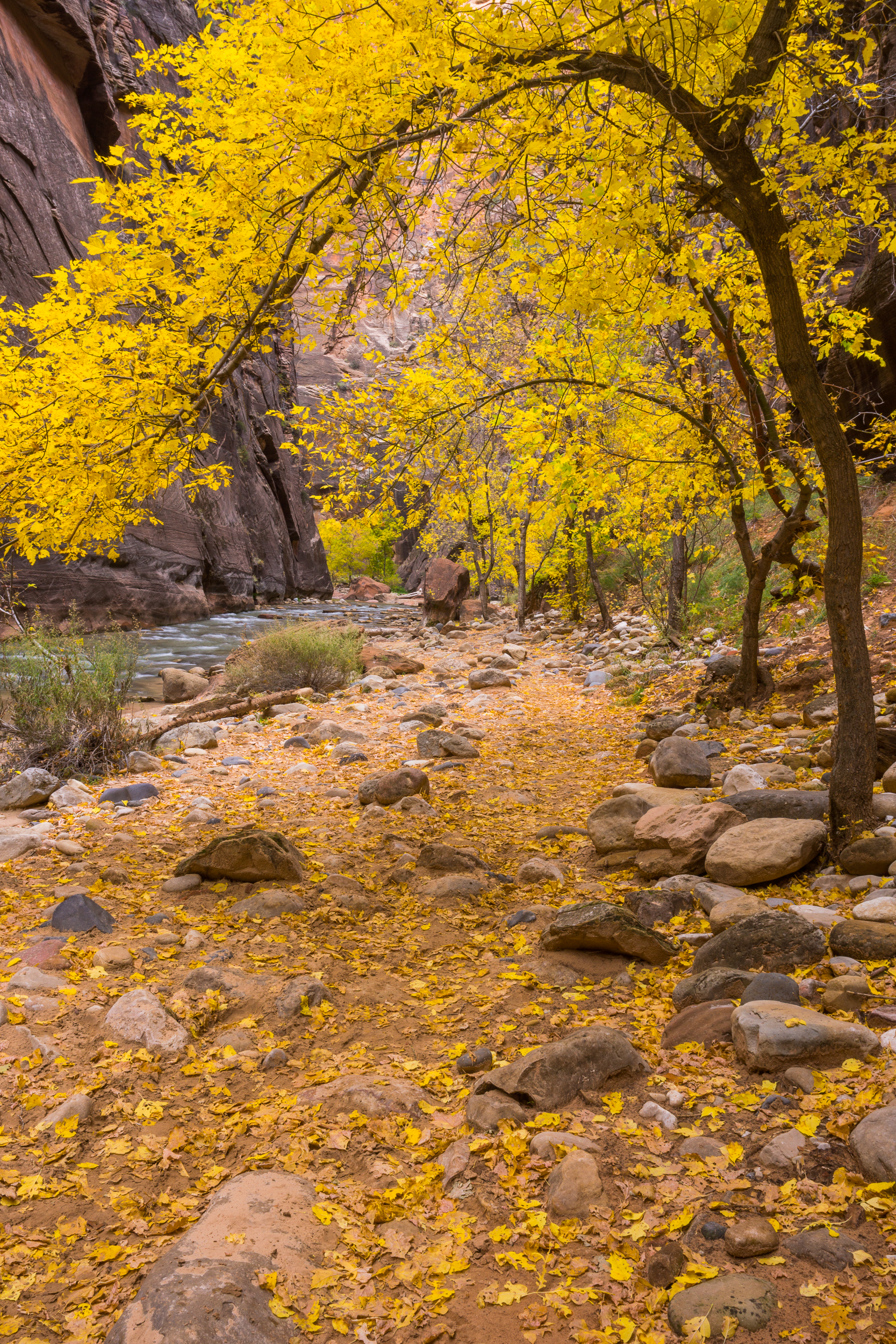 The Narrows, Zion NP